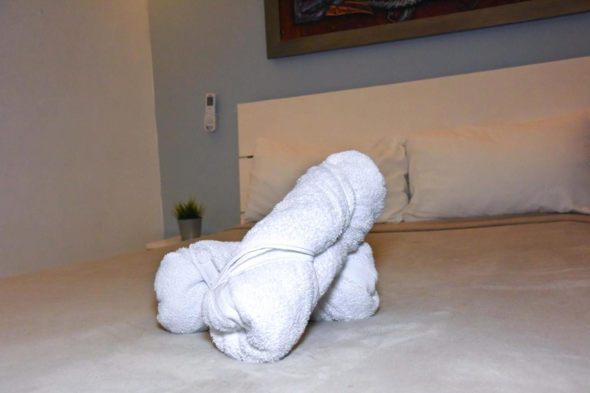 Hostel Gato Colonial Santo Domingo Eksteriør bilde